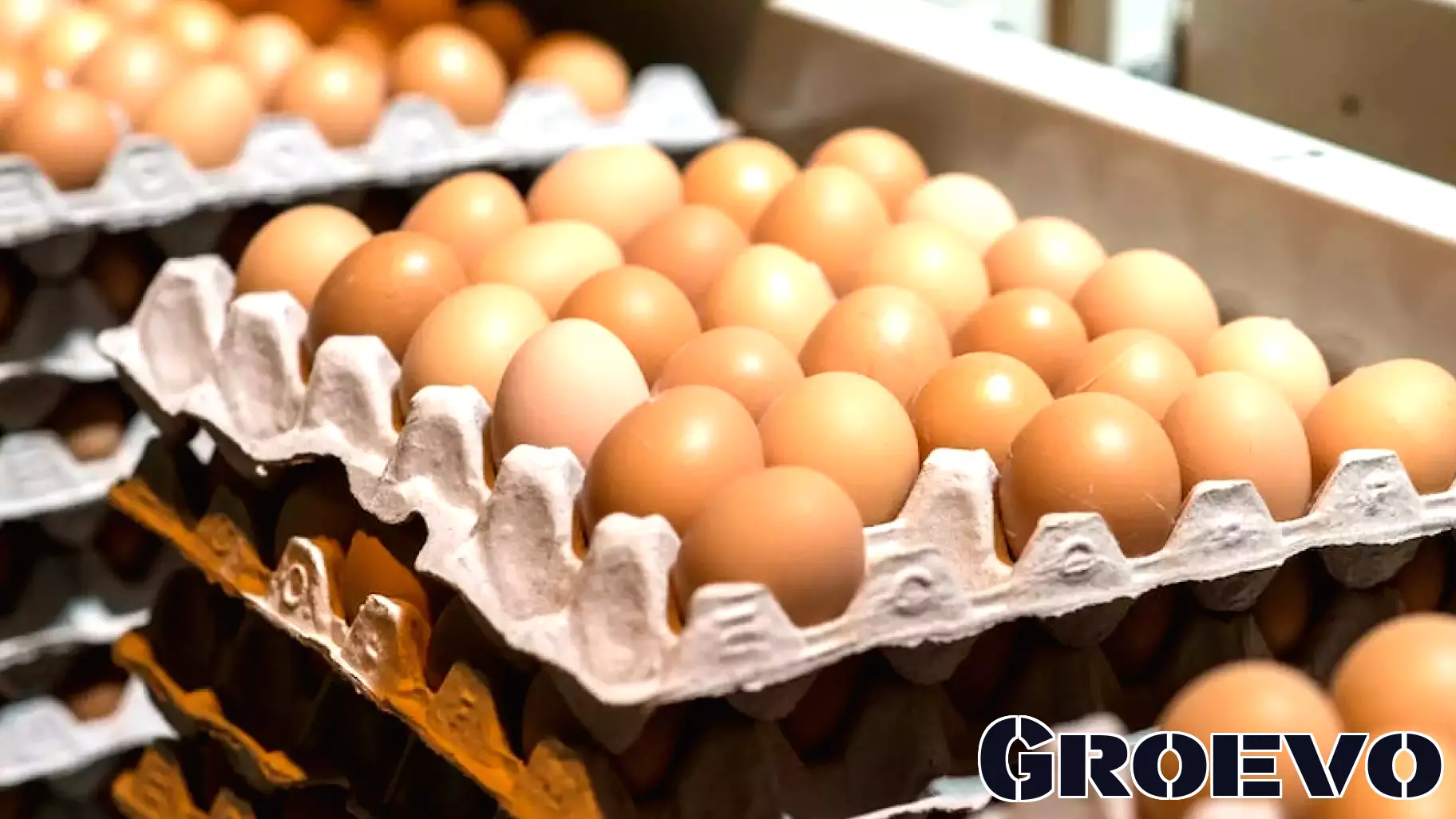 Rising Egg Prices Create Challenges for Ozempic Users