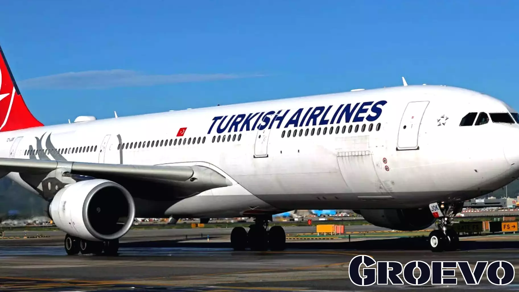 Turkish Airlines Responds to Bedbug Complaints with Compensation Offers