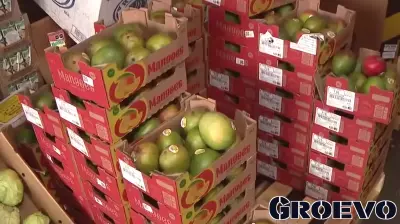 Rising Costs Impact Phoenix Produce Industry Amid Trade Tensions